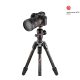 Manfrotto Befree GT Carbon Fiber Kamera Állvány/ Tripod +gömbfej Sony Alpha kamerához (162cm)